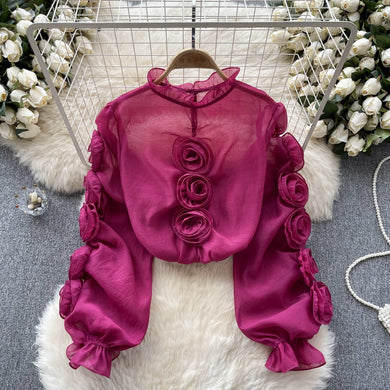 3D Floral Sheer Shirt Ruffle Collar Long Sleeve High Quality