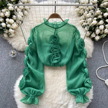 3D Floral Sheer Shirt Ruffle Collar Long Sleeve High Quality