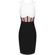 sleeveless bodycon dress with mesh insert in various colors