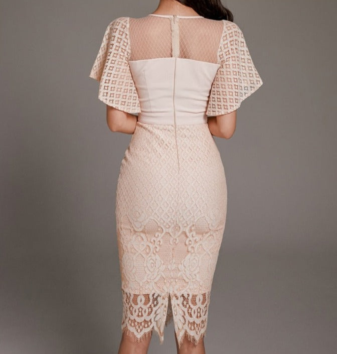 High Quality Lace Elegant Bodycon Solid Color Bodycon Dress