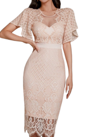 High Quality Lace Elegant Bodycon Solid Color Bodycon Dress