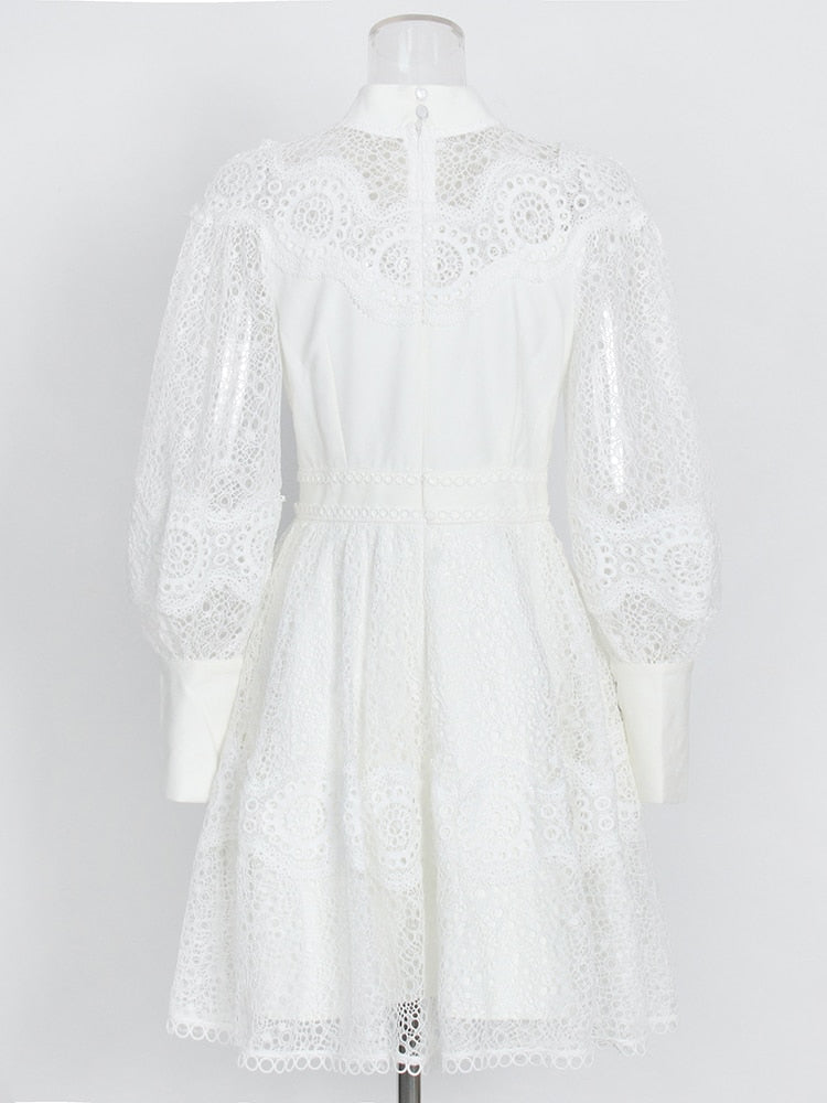white lace dress with black collar White Lace Dress With Black Collar Accents
